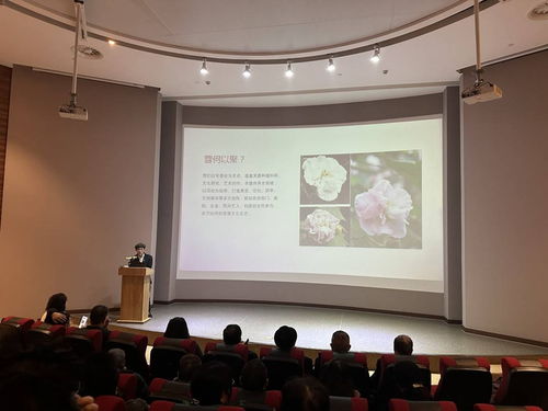 首屆芙蓉文化學術交流活動在蓉城隆重啟幕，共繪文化繁榮新圖景