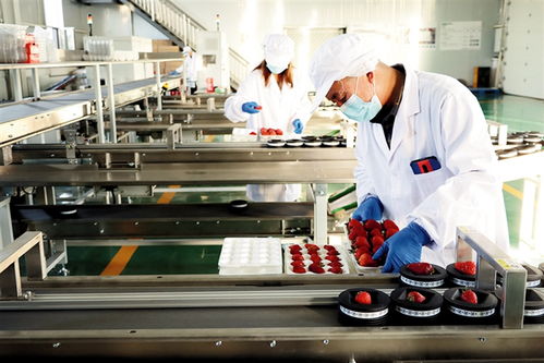 鄂爾多斯 建設農副產品電商服務中心，賦能養(yǎng)生保健服務新生態(tài)